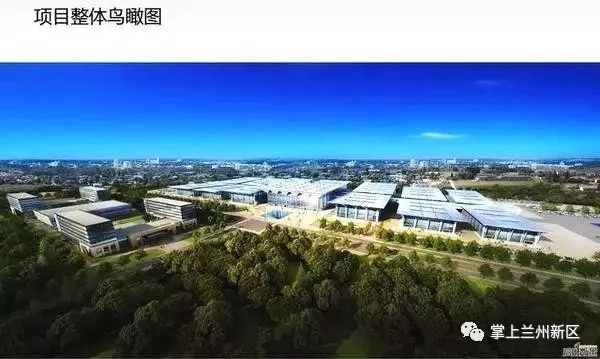 1541576176804672.jpg 1.webp.jpg