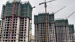 1561606842998652.jpg 2jpg.jpg