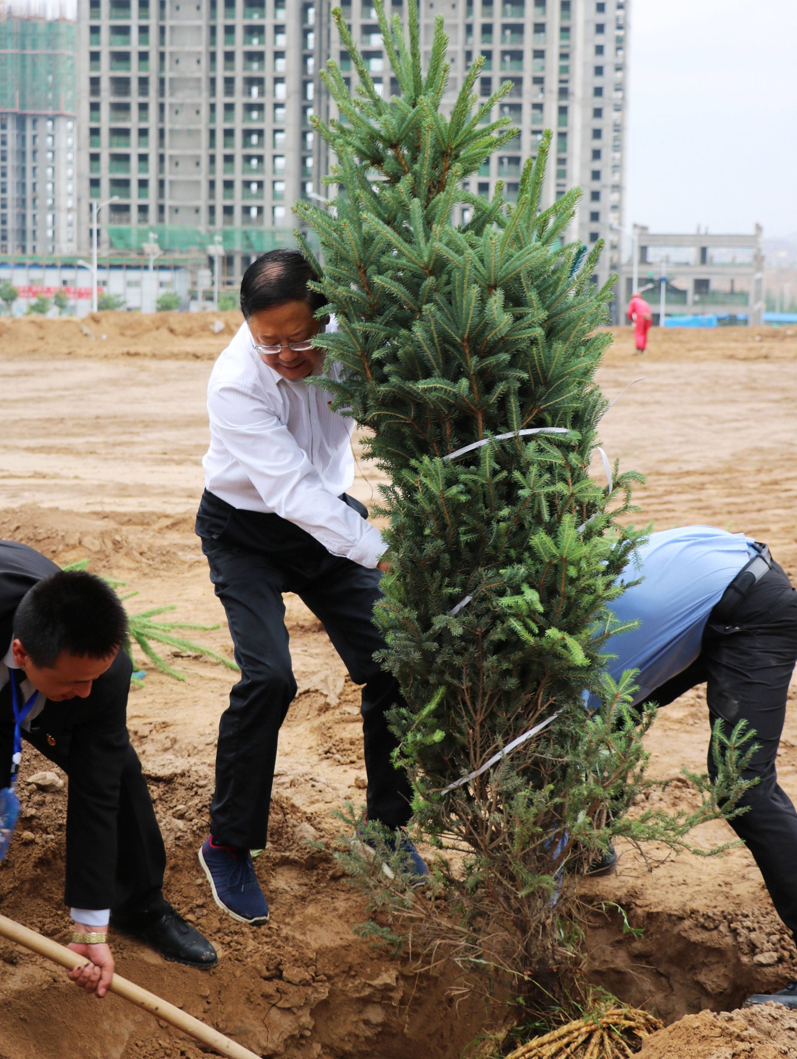 1562118158783908.jpg 1562118158783908.jpg