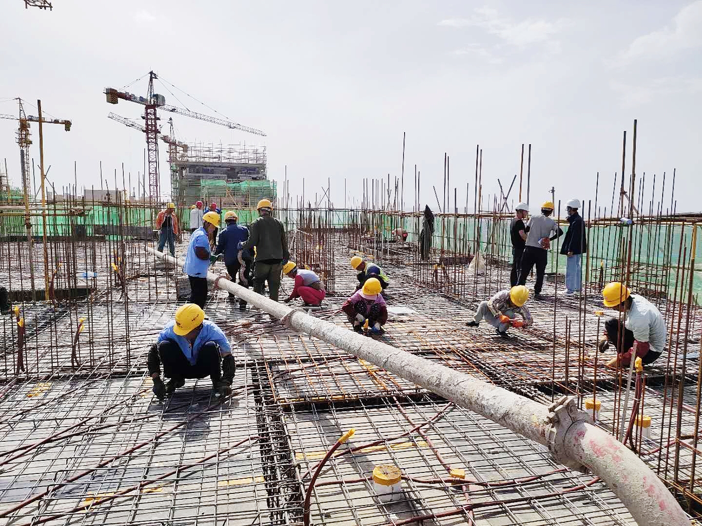 1594611439766422.jpg 1594611439766422.jpg