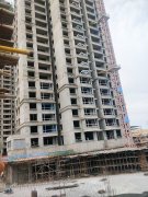 乾元·金海國(guó)際最新工程周報(bào) | 七月芳菲醉，人間夏至?xí)r，共鑒家成長(zhǎng)！