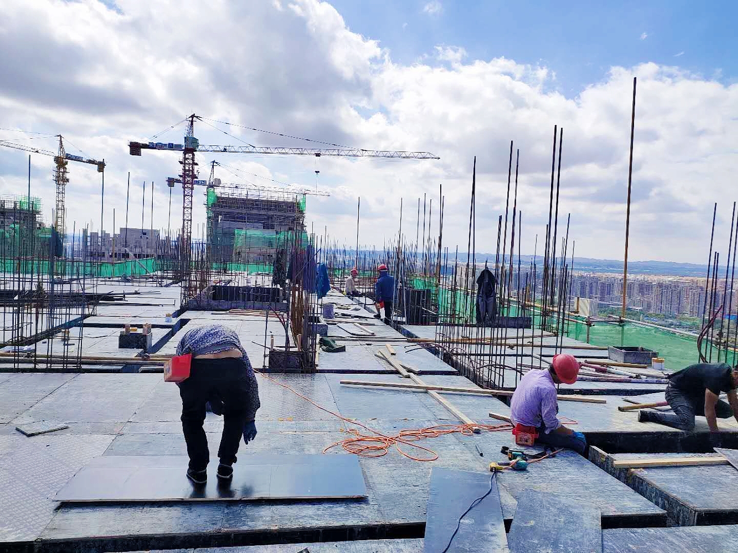 1594971818194899.jpg 1594971818194899.jpg