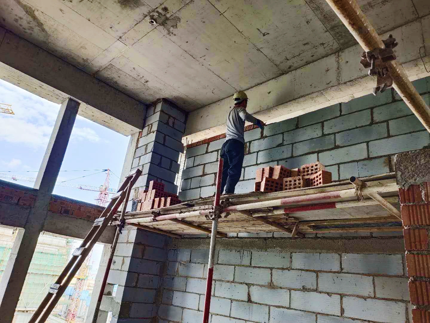 1594972117339459.jpg 1594972117339459.jpg