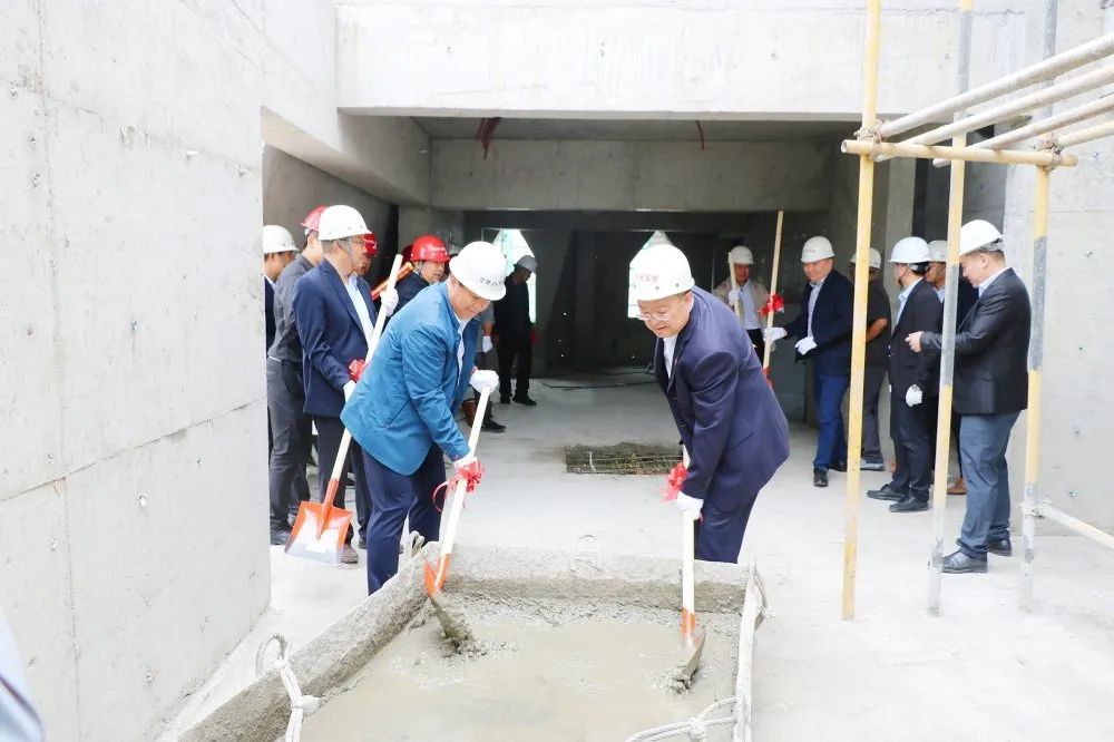 1597644410381009.jpg 1597644410381009.jpg