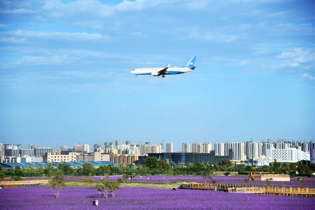 1597908853922728.jpg 1597908853922728.jpg