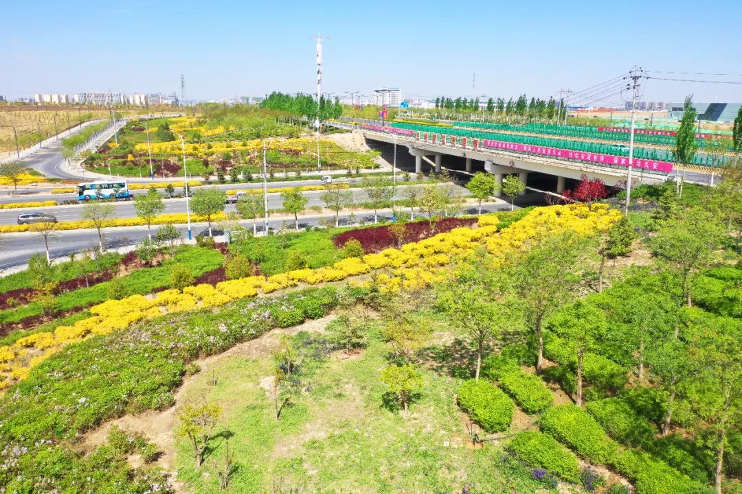 1597908965360304.jpg 1597908965360304.jpg