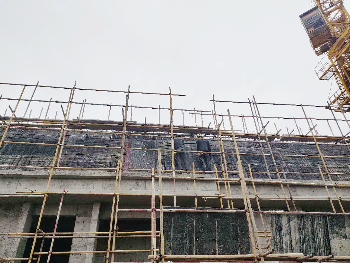 1600239631761905.jpg 1600239631761905.jpg