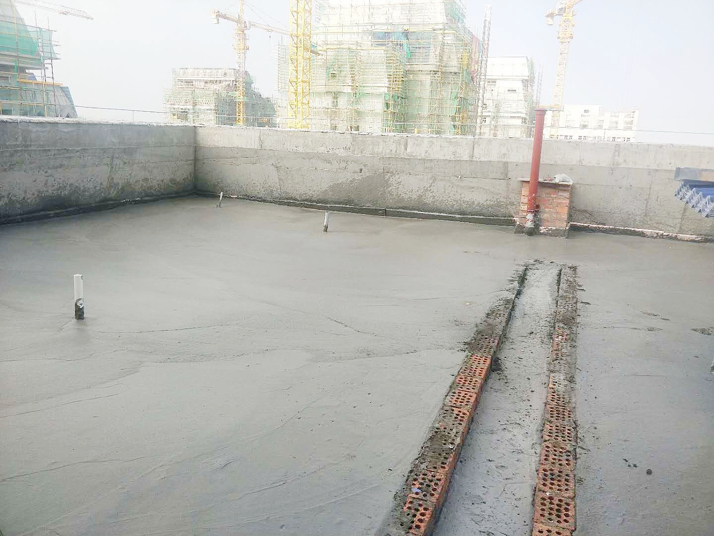 1600239813418699.jpg 1600239813418699.jpg