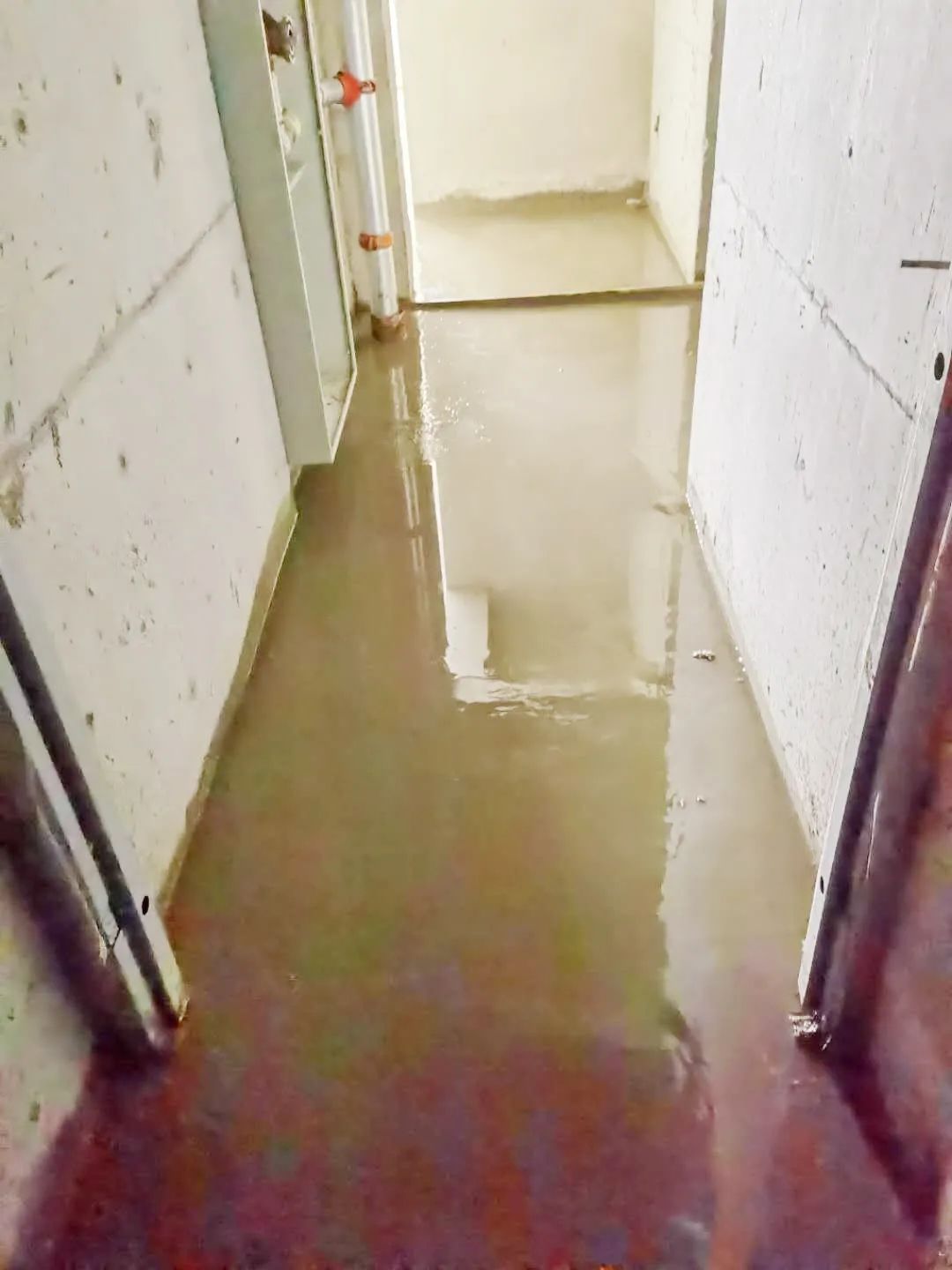 1603695709109057.jpg 1603695709109057.jpg