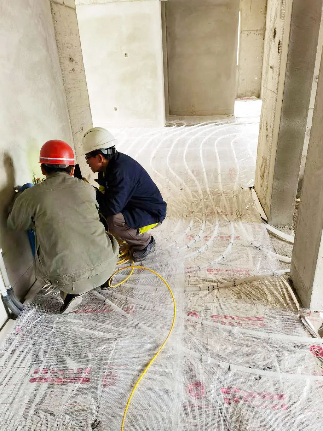 1603695750935843.jpg 1603695750935843.jpg