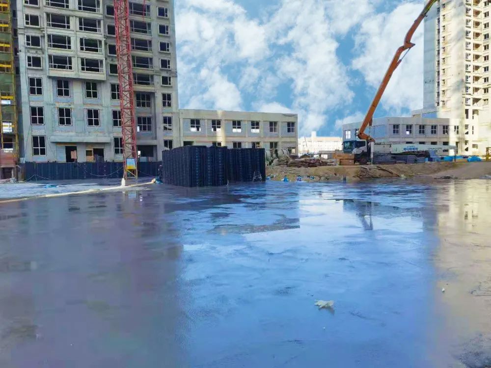 1605686783755830.jpg 1605686783755830.jpg