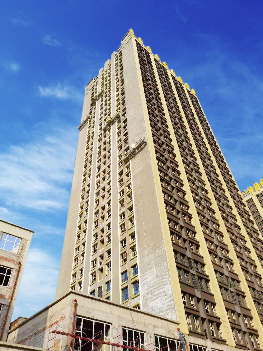 1608608528534621.jpg 1608608528534621.jpg