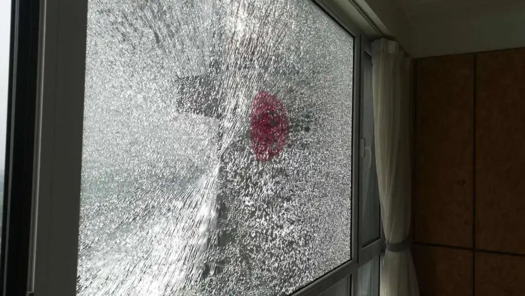 1610515209852967.jpg 1610515209852967.jpg