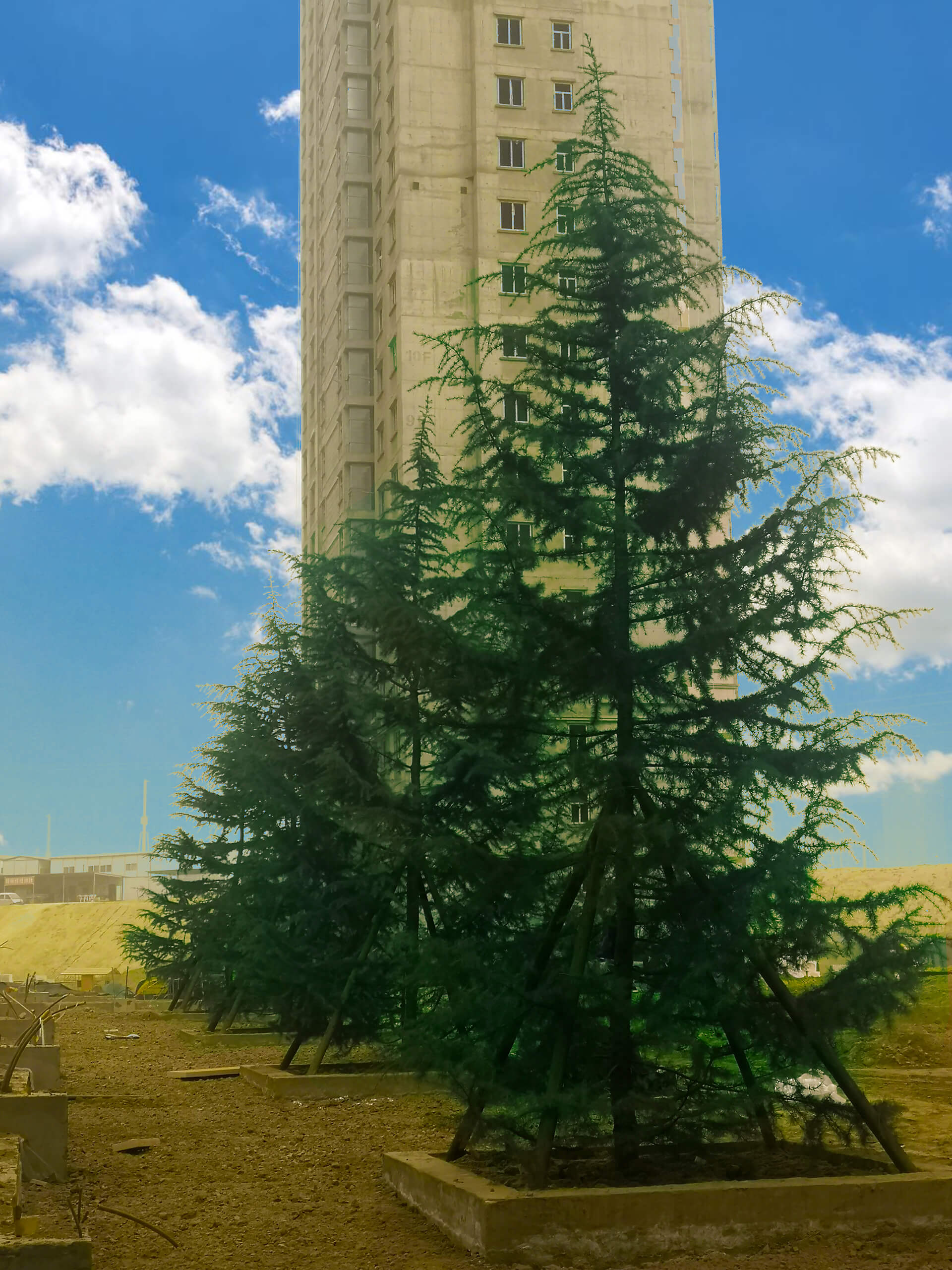 1616144673574179.jpg 1616144673574179.jpg