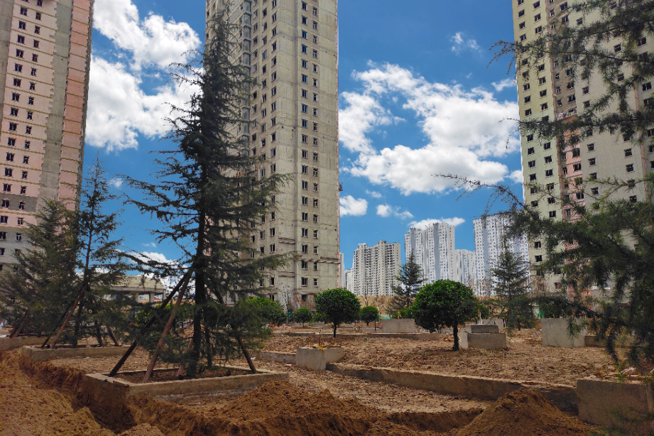 1617859411609554.png 1617859411609554.png