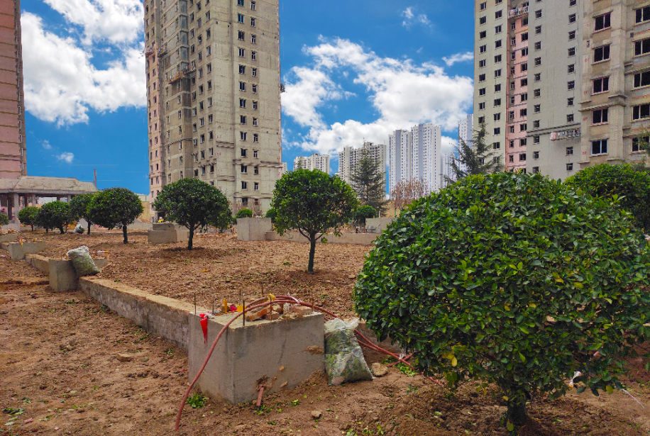 1617859484686723.png 1617859484686723.png