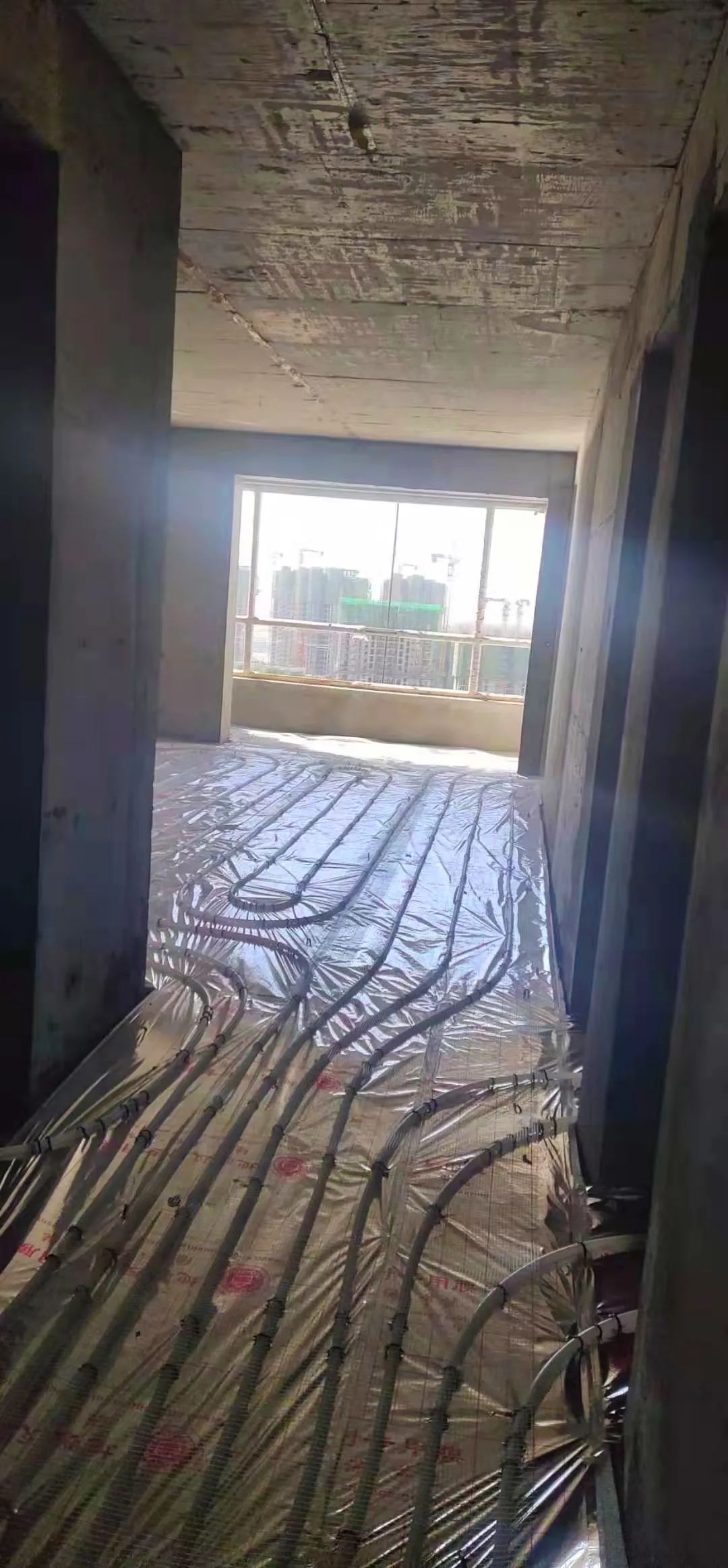 1618562494464905.jpg 1618562494464905.jpg