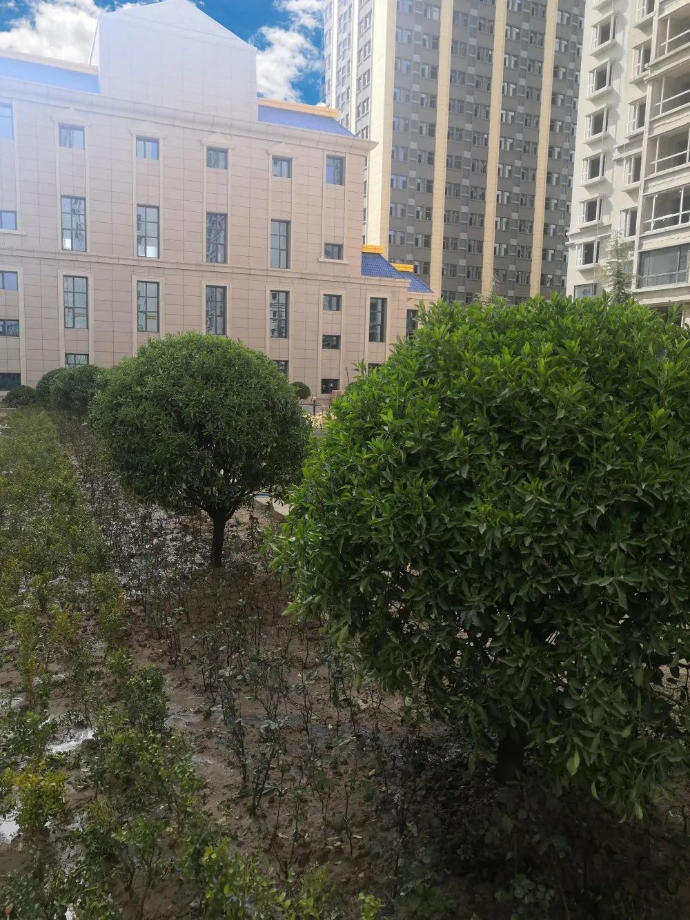 1619749961467978.jpg 1619749961467978.jpg