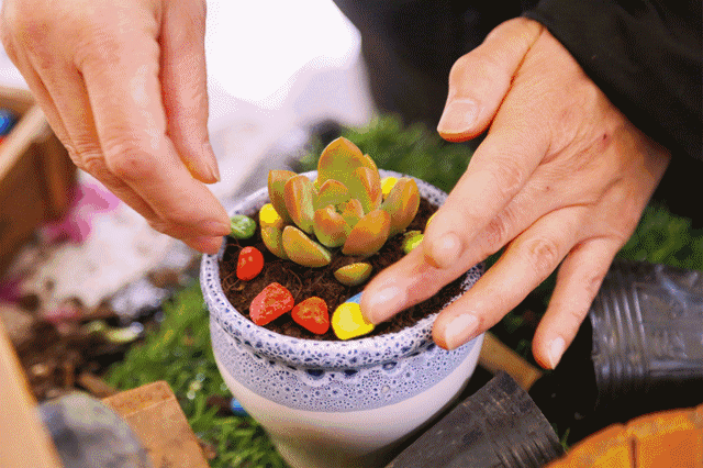 1620369597722694.gif 1620369597722694.gif