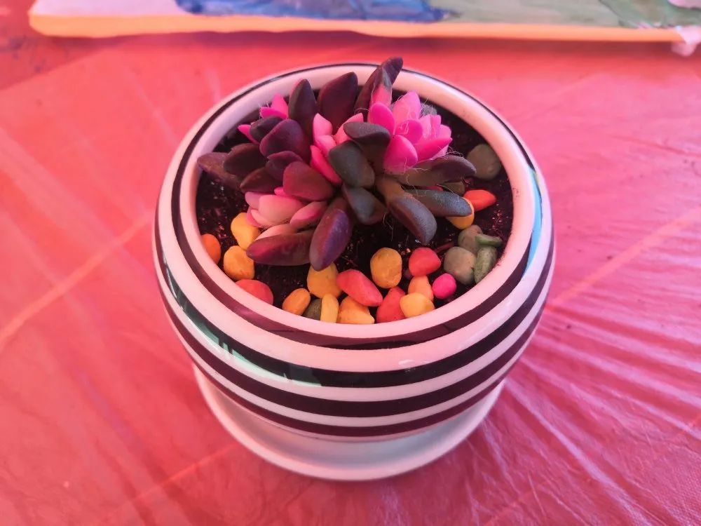 1620369640437048.jpg 1620369640437048.jpg