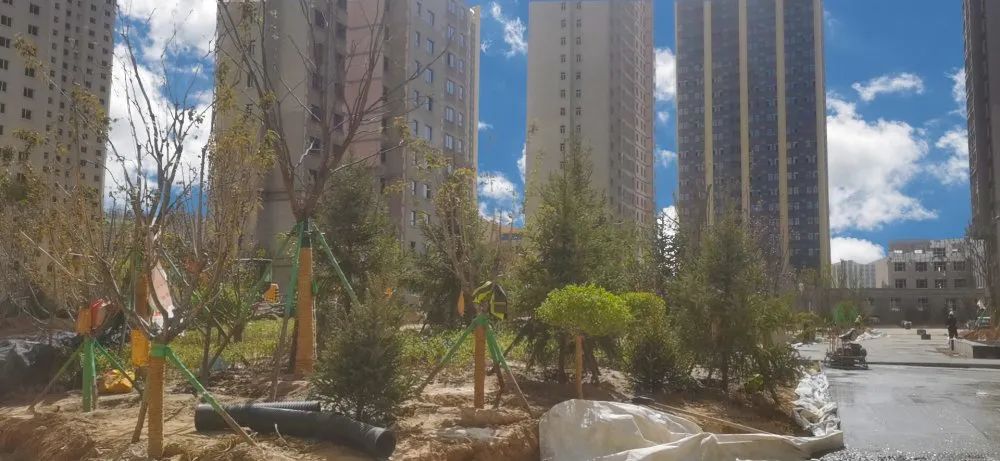 1620894525520976.jpg 1620894525520976.jpg