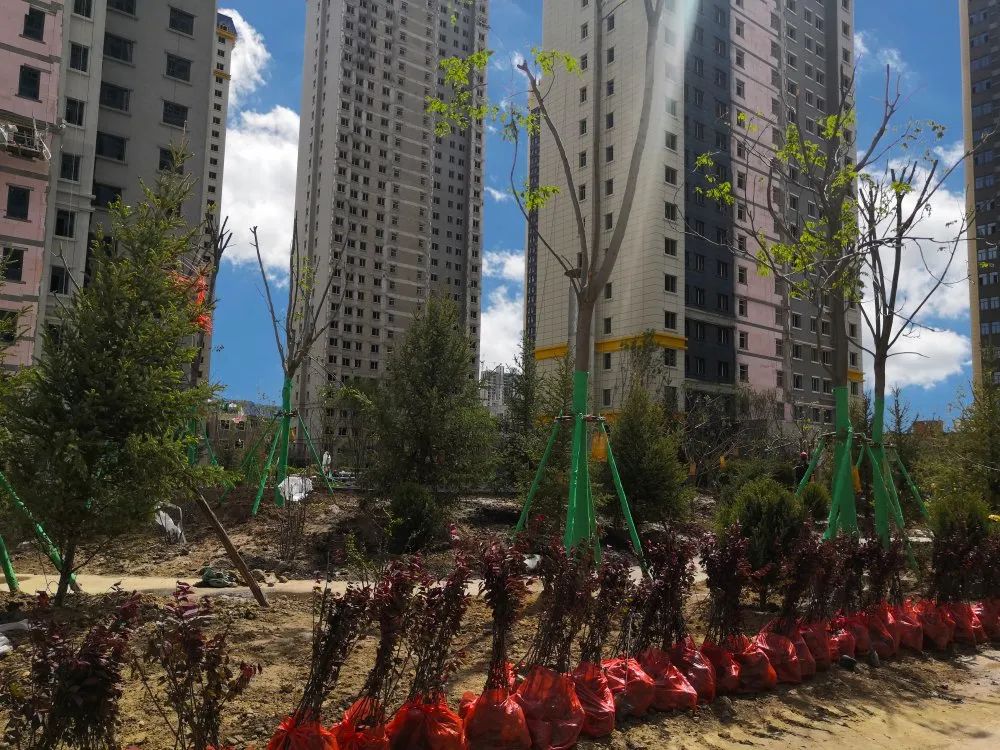 1622014647784644.jpg 1622014647784644.jpg