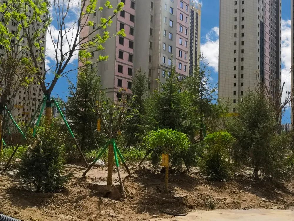 1622014780479238.jpg 1622014780479238.jpg