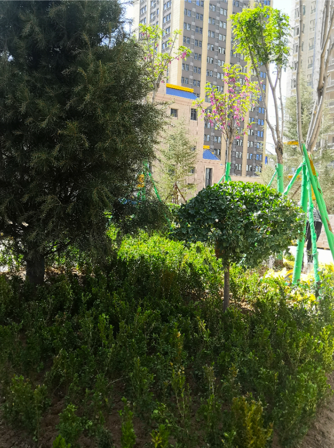 1623225246860105.png 1623225246860105.png