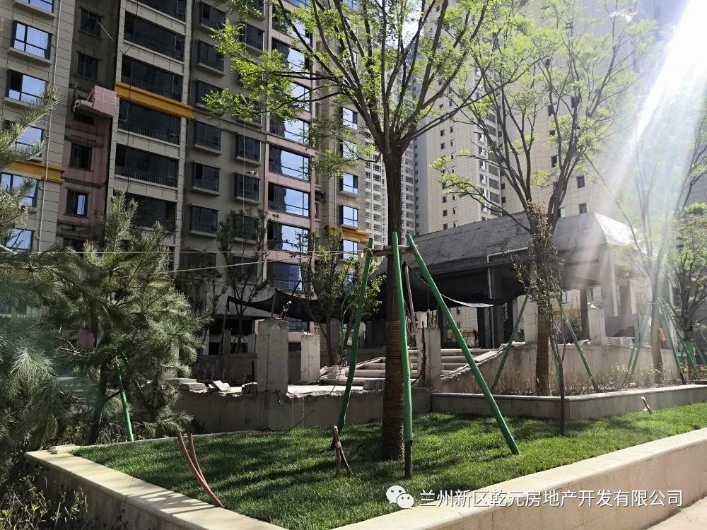 1624346825698772.jpg 1624346825698772.jpg