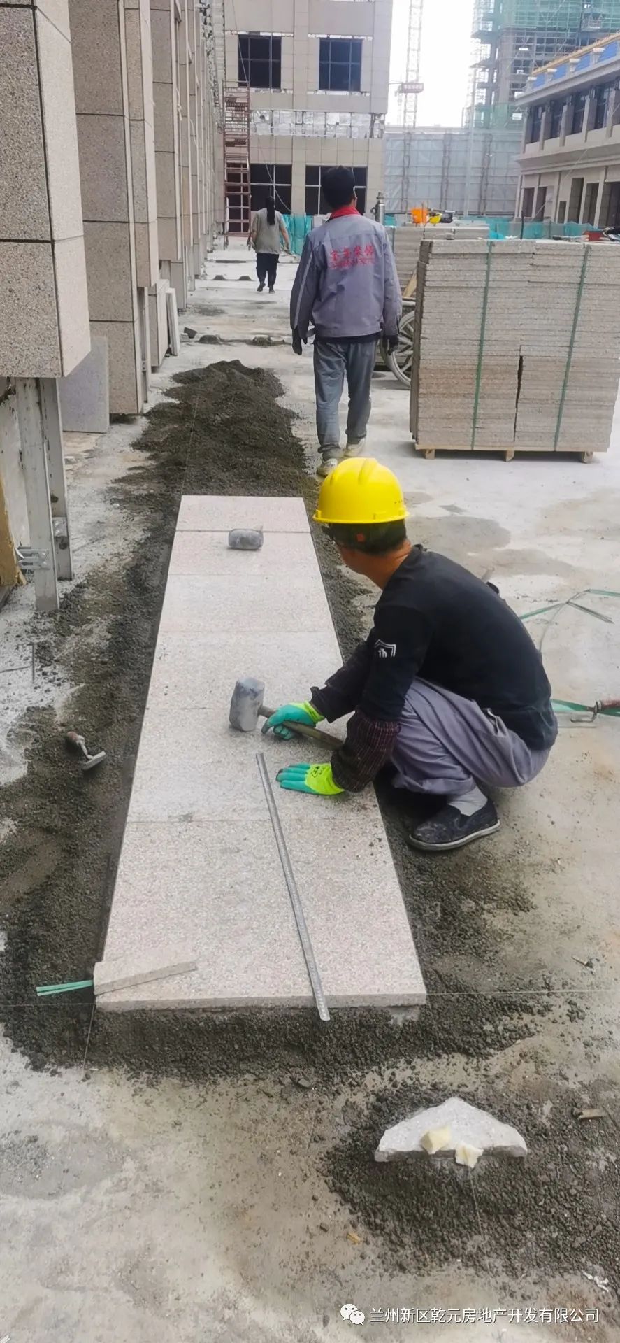 1624347166103569.jpg 1624347166103569.jpg