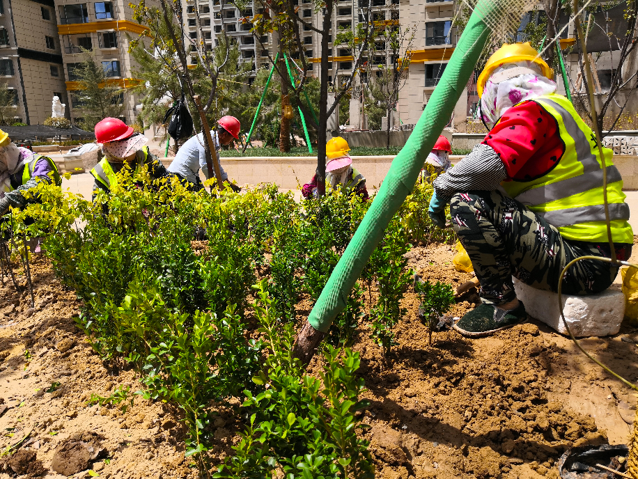 1625210960703835.png 1625210960703835.png