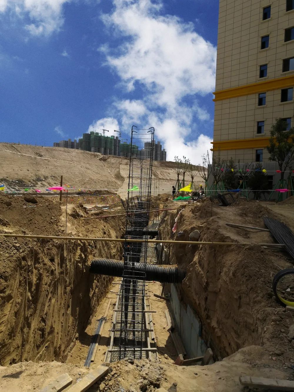 1625211157691132.jpg 1625211157691132.jpg