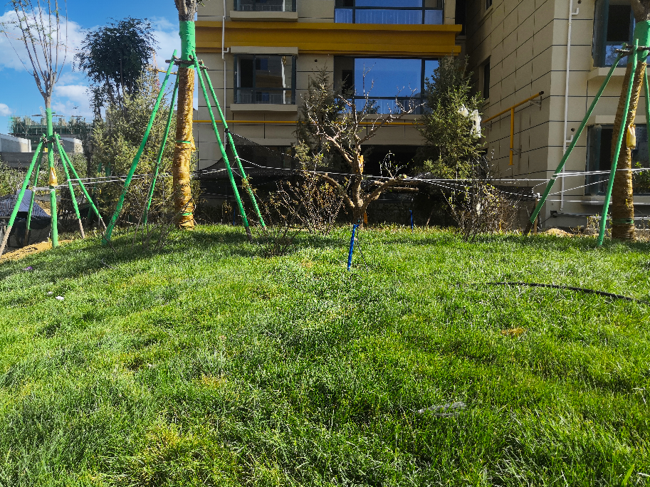 1626162022748889.png 1626162022748889.png