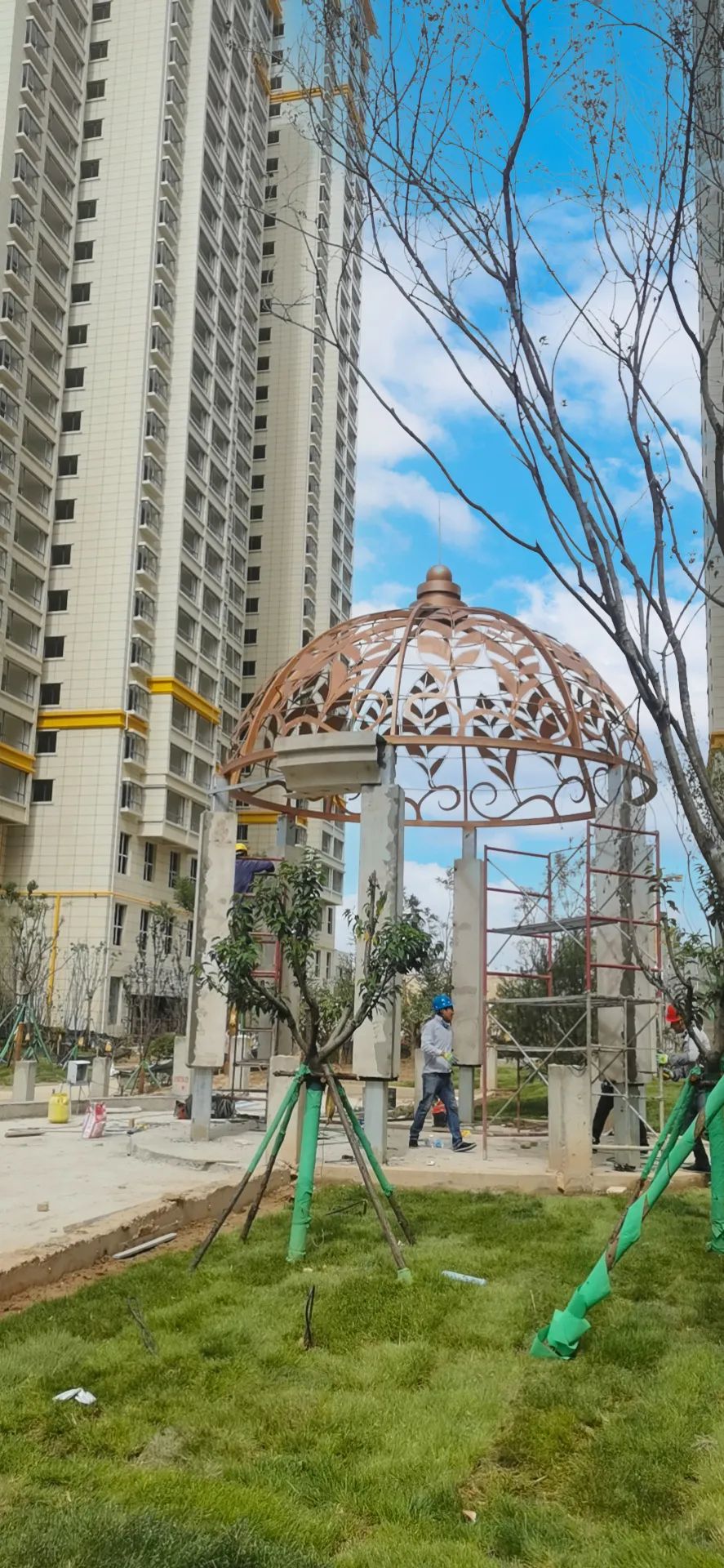 1626768437746481.jpg 1626768437746481.jpg