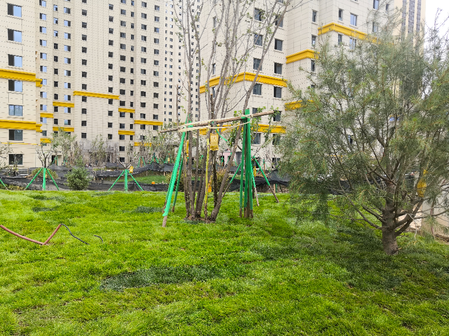 1626768552947845.png 1626768552947845.png