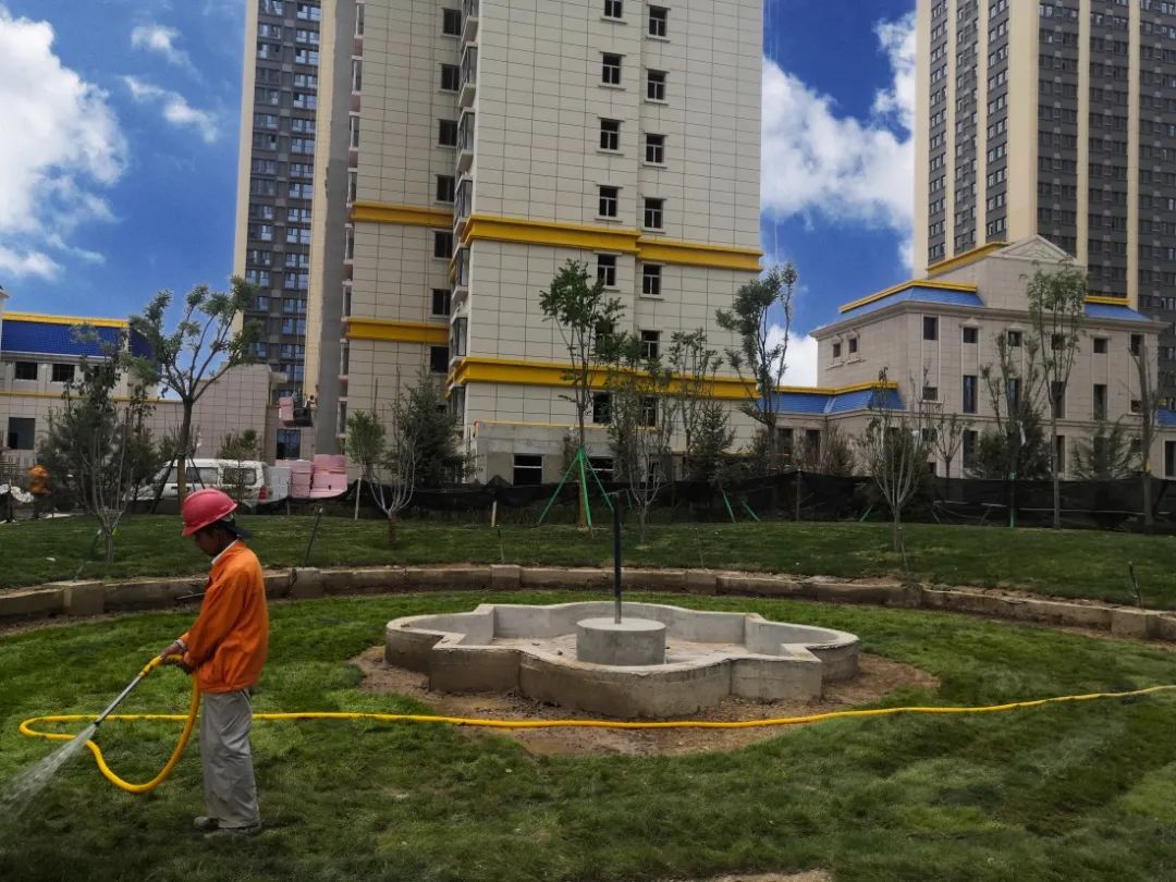 1626768645634966.jpg 1626768645634966.jpg